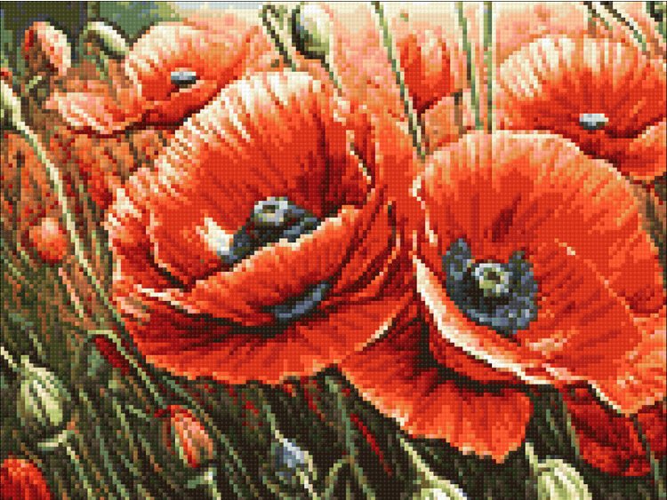 diamond-painting-kit-poppies-40x30-cm-wd3204-1-e1728577449952 Aguonos